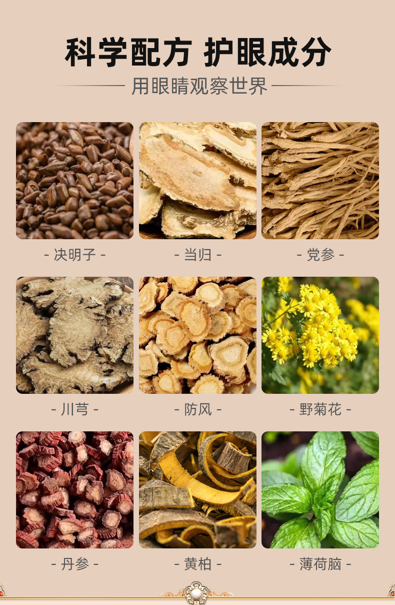 决明子明目按摩保健膏